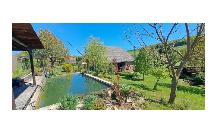 Rodinný dom (2x bytová jednotka) 5400m2 Podbranč pri Senici - fotografia 33