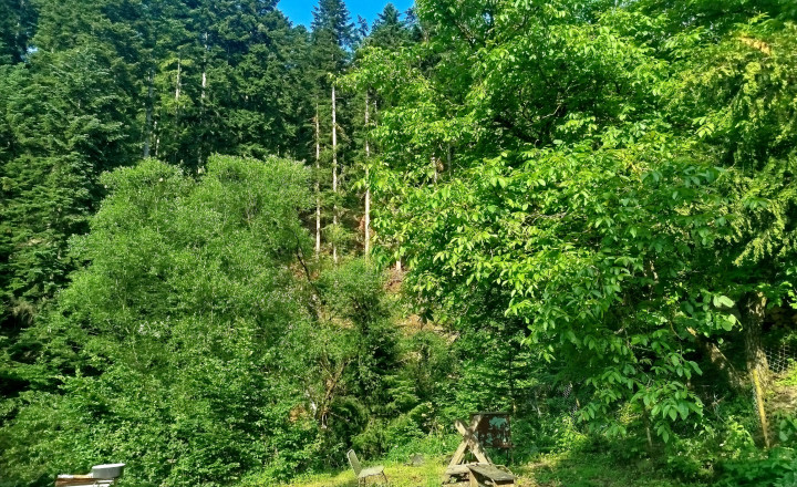 ÚTULNÁ CHATA V OPÁTKE S POTÔČIKOM – LEN 30 MINÚT OD KOŠÍC - fotografia 5