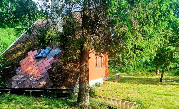 ÚTULNÁ CHATA V OPÁTKE S POTÔČIKOM – LEN 30 MINÚT OD KOŠÍC - fotografia 6