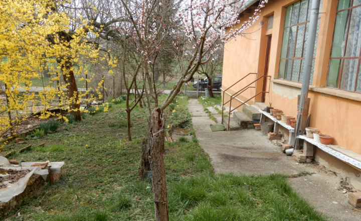 Slnečný rodinný dom, 120 m2, Dedinka, okr. Nové Zámky - fotografia 13