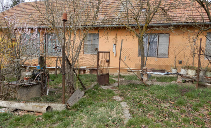 Slnečný rodinný dom, 120 m2, Dedinka, okr. Nové Zámky - fotografia 14