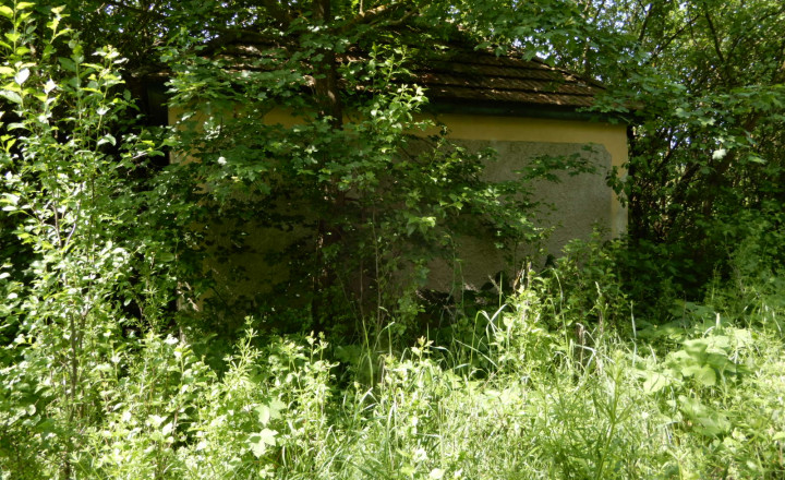 Vinica na predaj, 2500 m2, Farná, okr. Levice - fotografia 1