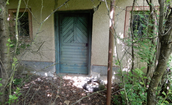 Vinica na predaj, 2500 m2, Farná, okr. Levice - fotografia 3