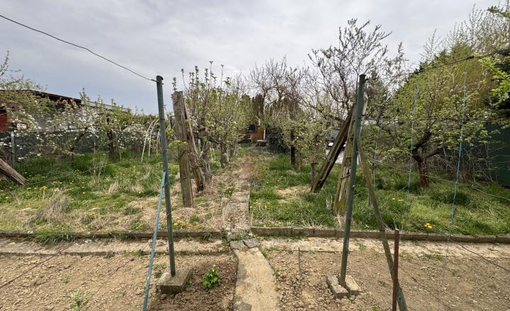 Záhrada na predaj Šaľa pri tenisových kurtoch 298 m2 - fotografia 1