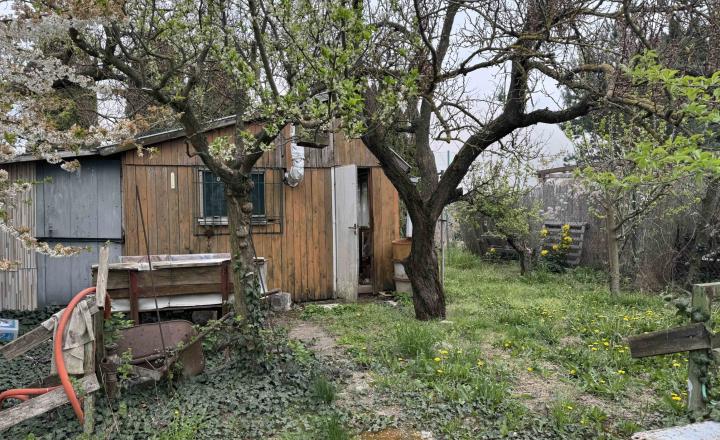 Záhrada na predaj Šaľa pri tenisových kurtoch 298 m2 - fotografia 7