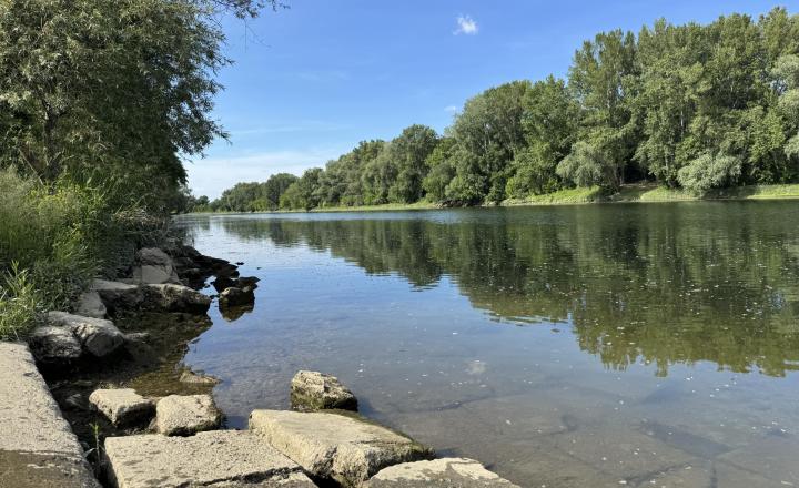 Záhrada v Kráľovej nad Váhom 260 m2 - fotografia 3