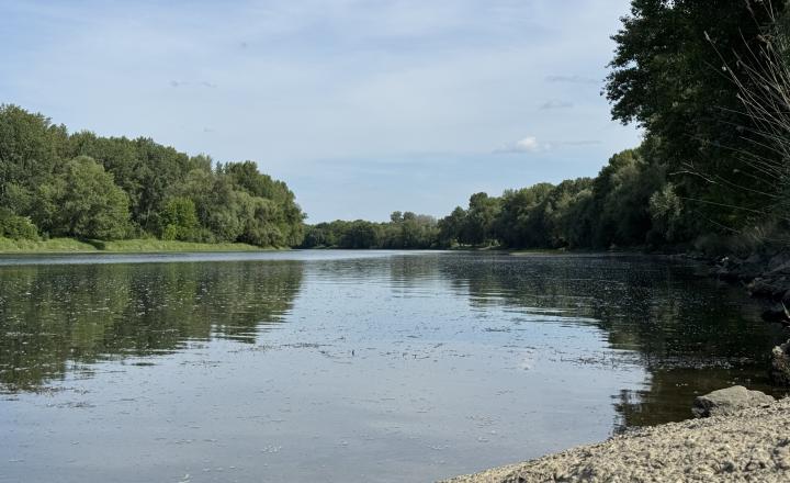 Záhrada v Kráľovej nad Váhom 260 m2 - fotografia 5