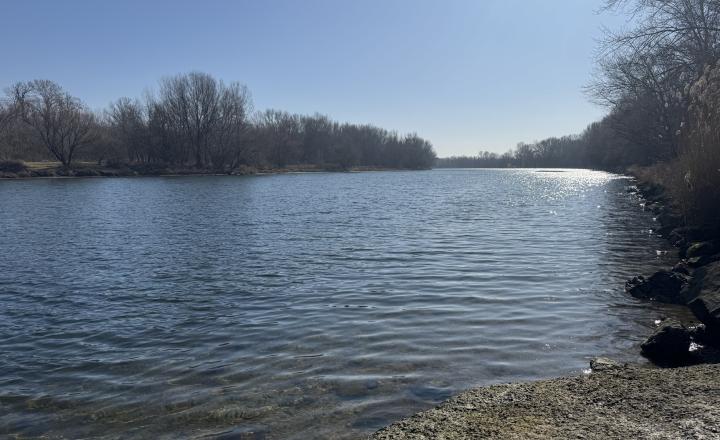 Záhrada 250 m2 v OV Kráľova nad Váhom s bazénom na predaj - fotografia 8