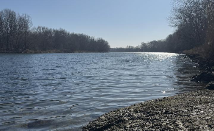 Záhrada 250 m2 v OV Kráľova nad Váhom s bazénom na predaj - fotografia 10