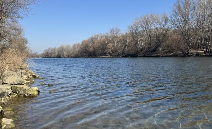 Záhrada 250 m2 v OV Kráľova nad Váhom s bazénom na predaj - fotografia 11