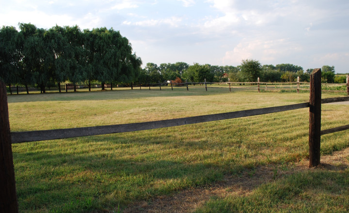 Vila Ranč - Krásna príroda, jazero, chov koní, apartmány, bazén, bowling, spoločenské akcie, kopec prírody, športu a relaxu - fotografia 6