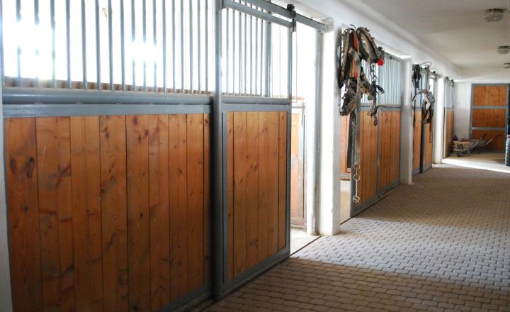 Vila Ranč - Krásna príroda, jazero, chov koní, apartmány, bazén, bowling, spoločenské akcie, kopec prírody, športu a relaxu - fotografia 12