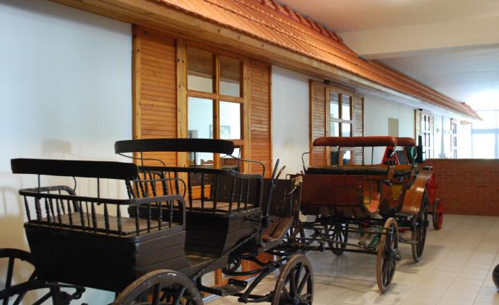 Vila Ranč - Krásna príroda, jazero, chov koní, apartmány, bazén, bowling, spoločenské akcie, kopec prírody, športu a relaxu - fotografia 13