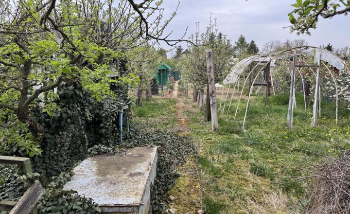 Záhrada na predaj Šaľa pri tenisových kurtoch 298 m2 - fotografia 6