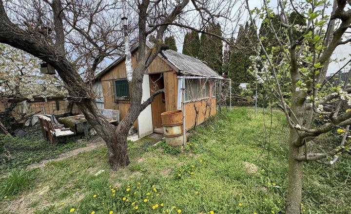 Záhrada na predaj Šaľa pri tenisových kurtoch 298 m2 - fotografia 9