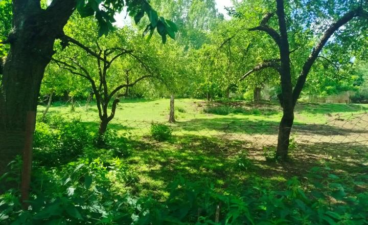INVESTIČNÁ PRÍLEŽITOSŤ: Takmer 30-árový pozemok s obrovskou víziou v lone prírody (Miklušovce) - fotografia 8