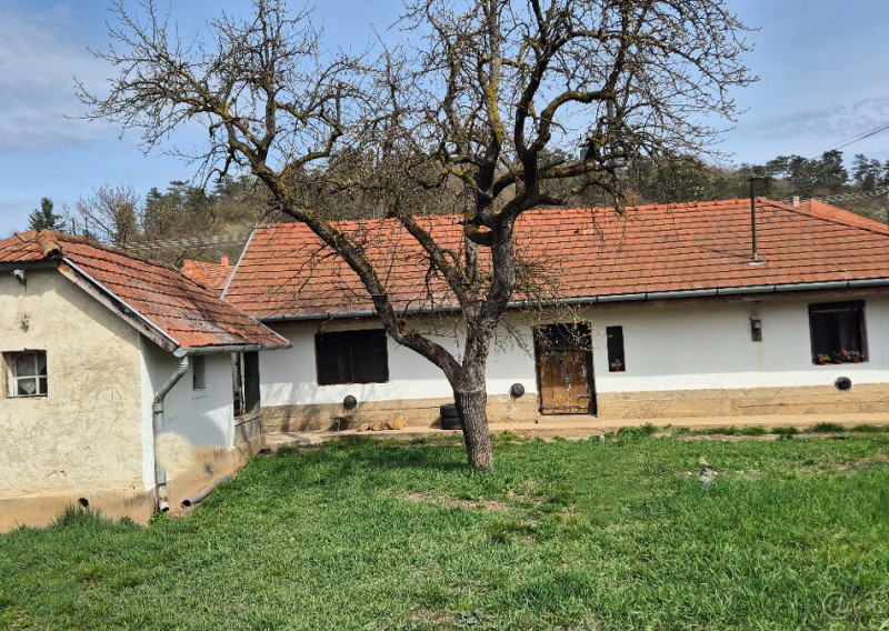 Útulný rodinný dom, 120 m2,rekonštrukcia, Hronovce, okr. Levice